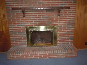 137 Campbell Place fireplace